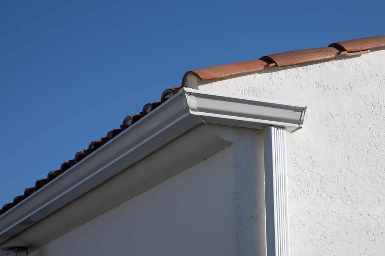 Can Blocked Gutters Cause Mould? Can Blocked Gutters Cause Mould?
